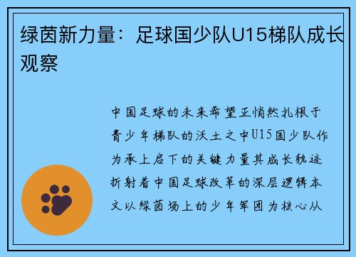 绿茵新力量：足球国少队U15梯队成长观察